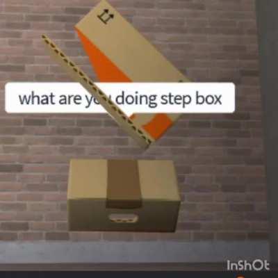 Step box