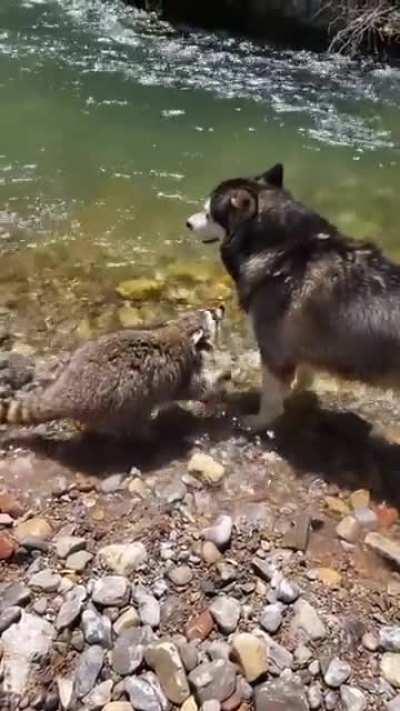 Hey how ya doing lil momma let me whisper in ya ear