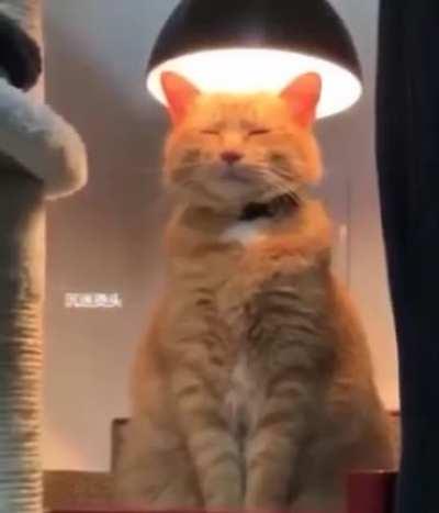 Bitch don't kill his vibe