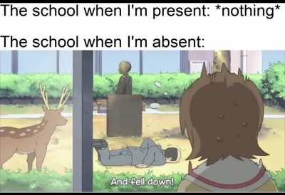 Me when I come back the next day: 