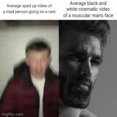 Average meme with the average fan vs average enjoyer template.