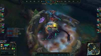 My best turtle clutch yet!