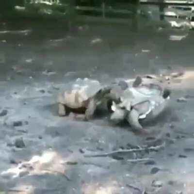 Me helping flip over my platoonmate