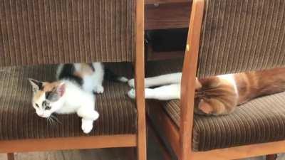 Tip, tap, tippy-tippy tap-tap...