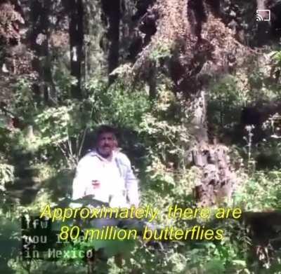 Puto país de mierda