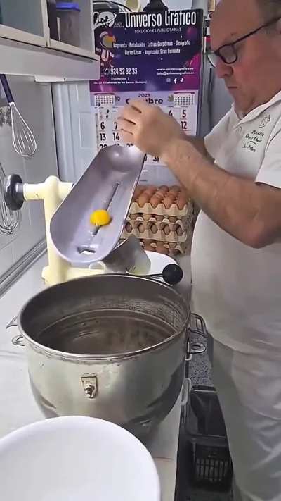 egg white and yolk perfect split