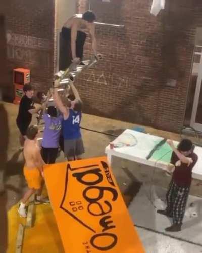 Being stupid with a ladder