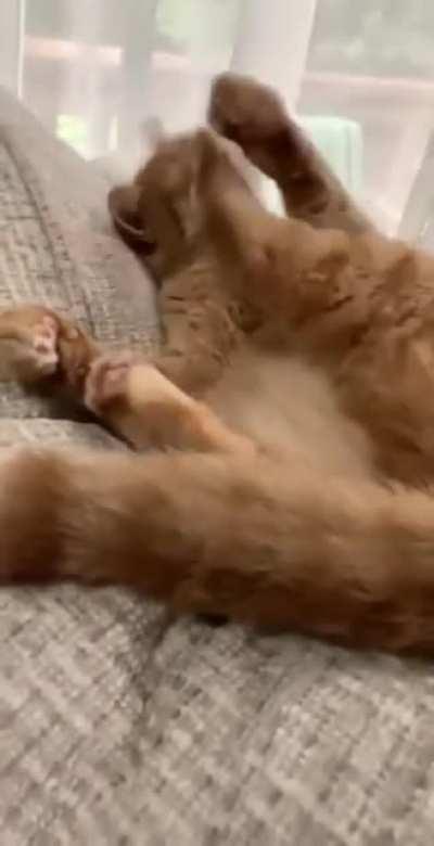 Why are you hitting yourself?