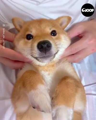 Your eyes have been blessed