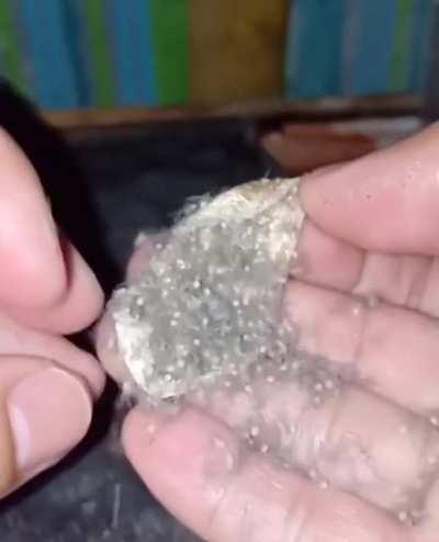 How’s this make ya feel?