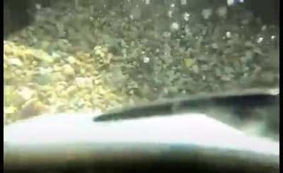 Не ссы. Здесь мелко!