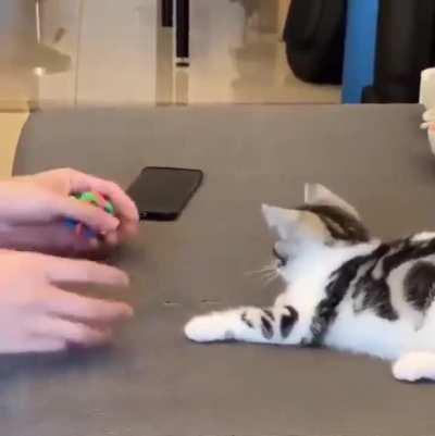 He understands the game, that's so adorable!