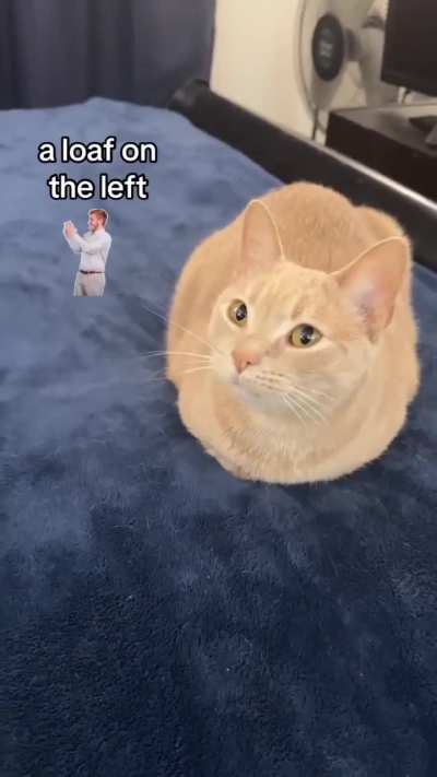 Baked bread for Christmas