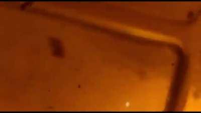 Stay away from burning vehicles