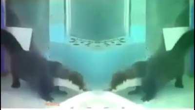 It is a sin that this song never made it into top 10 on billboard.