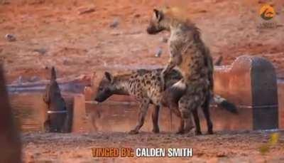 The ending was not what I was expecting it cracked me up .