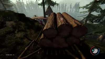 Guess Ill go get more wood