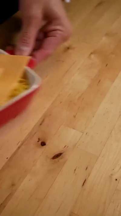 This dish is so stupid that not even Bayashi liked it. 😂