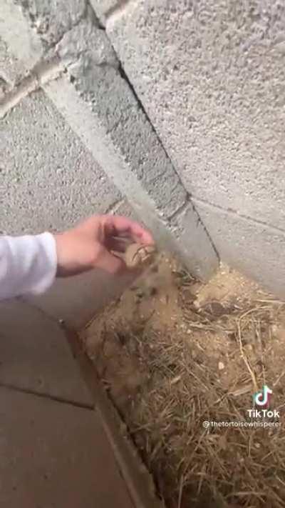 Thought this sub might be interested