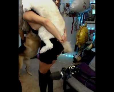 Upskirt Compilation - Birthday Stream