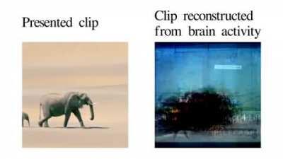 Video imagery reconstructed by measured brain activity