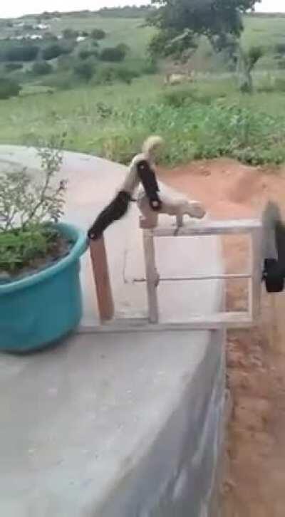 Environment friendly..