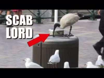 take 3 minutes for this song, it’s worth it