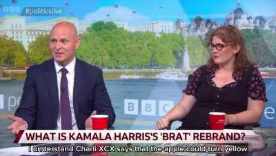 UK politician quoting from brat on TV panel 
