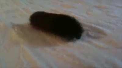 i'm a refugee from r/195. i hope this place becomes more active