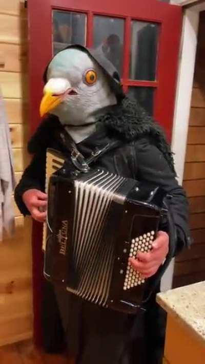 Idk it just feels like it fits here