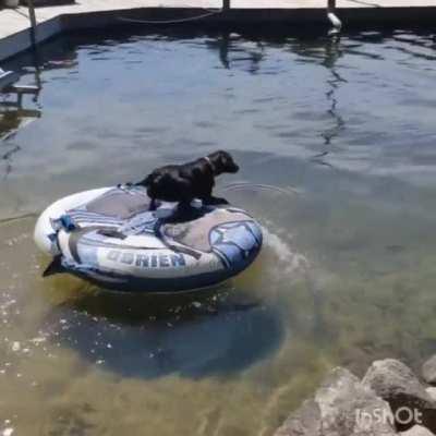 Ум, смелость, любовь