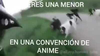 anime anime oni chan