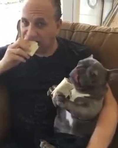 My dad: I don't want dogs in this house .. My dad a month later: