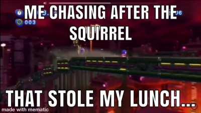 Darn Squirrels...