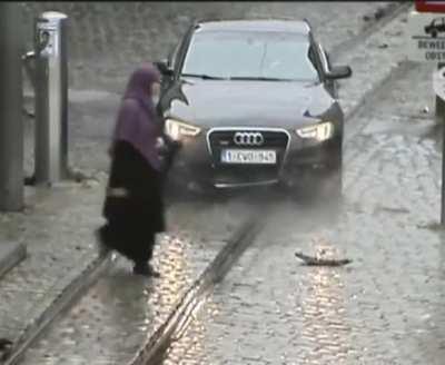 Solution to car invading pedestrian-only zones