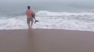 Dastardly Douche Detains Dolphin; Draws Death
