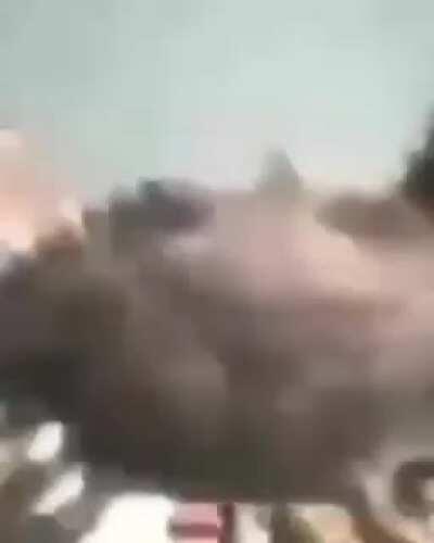 un sirifo asiendo pa.