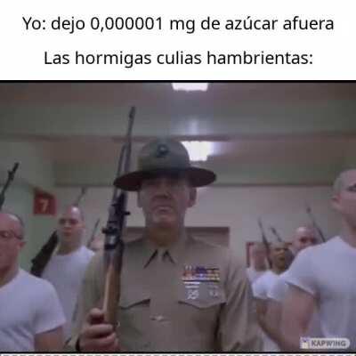TODOS LOS VERANOS LO MISMO 😡😡
