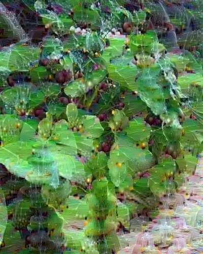 Developing an after effects plugin for deep dreaming. Here are some first renders. Took 20 mins to render 790 frames (each time). But I didn't found any way to control the Optical Flow (Check Comments)