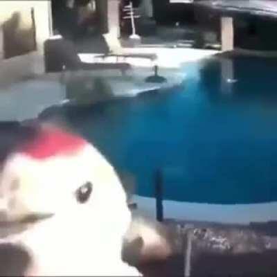 which charli xvideos outro is this?