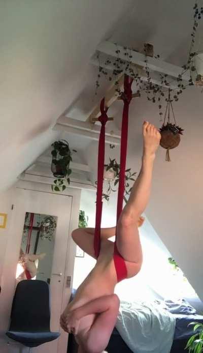 Just some gentle morning stretches in my yoga belt☀️ [f]