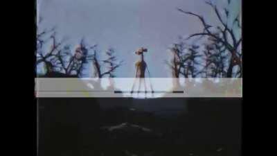 fica dentro de casa: sirenhead