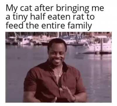 No need to thank me hoomans