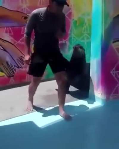 Seal pranks man by scaring him when he’s asleep