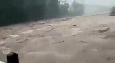 Why would you even be walking on that little bridge?!