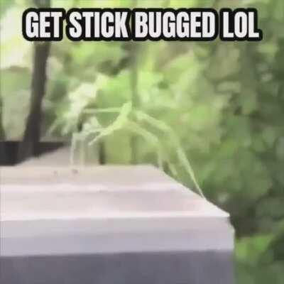 Found this on Twitter