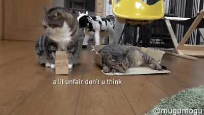 If i fit i... wait a second!