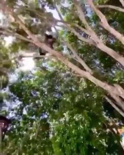 Esse cara deveria ser o protagonista no novo assassin's creed