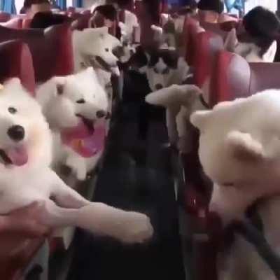 Ready for a long drive.