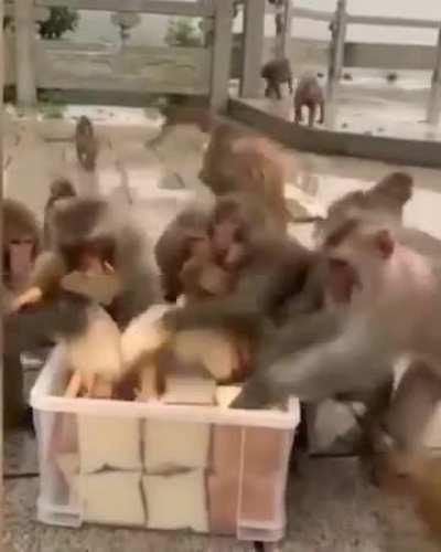 My teammates soon as the supply drop arrives